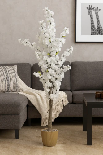 زهور ونباتات